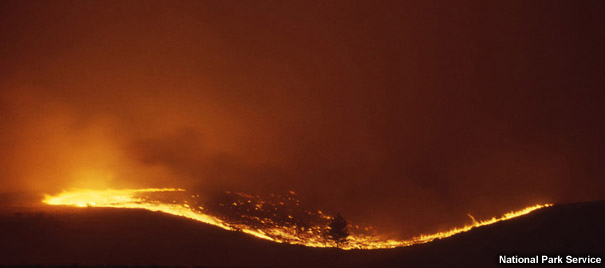 Grass fire at night.