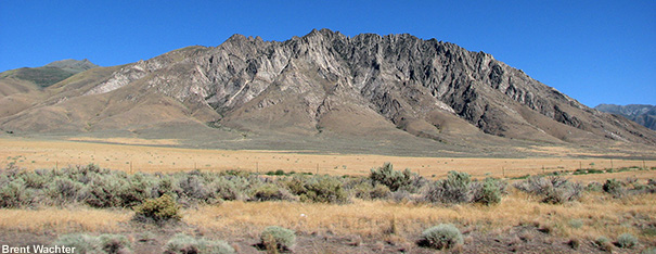 Rangeland fuel complex.