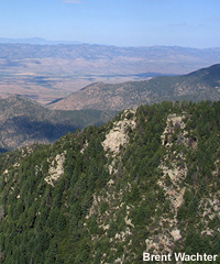 View from mid-slopes of Mt. Graham.