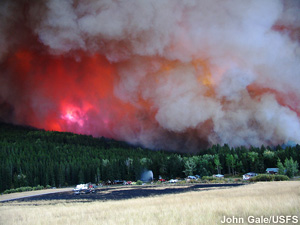 Extreme fire obscured behind a large smoke plume.