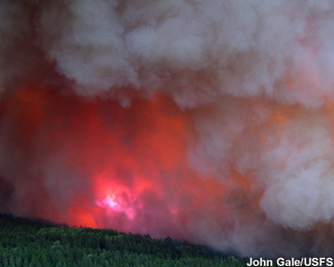 Jungle fire, 13 September 2006.