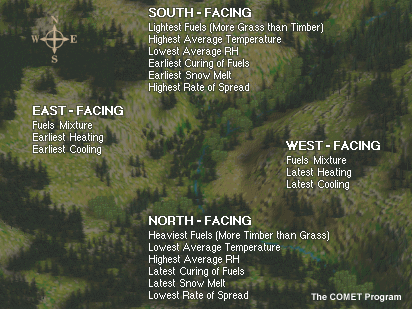 Summary of effects of aspect on various fire environment factors.