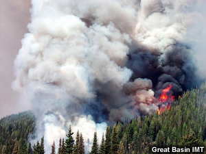 Smoke plumes rise from an active fire.