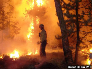 Fire crew member attends the line at night.