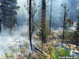 Smoke and smoldering fire in an area with heavy dead and down materials.