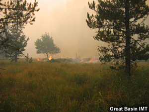 Surface burn-out operations in a grassy area.