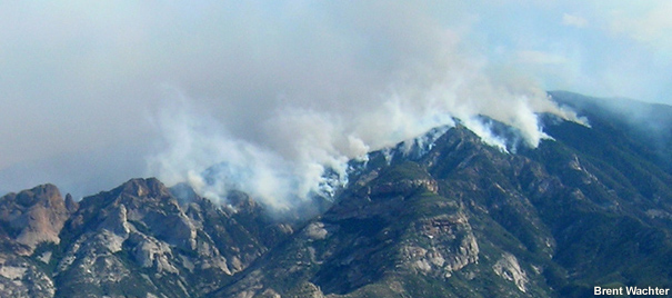 Smoke plumes from fires on upper slopes of a mountain.