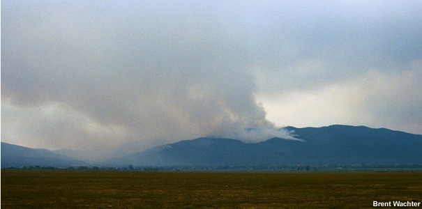 Right-left oriented smoke plume.