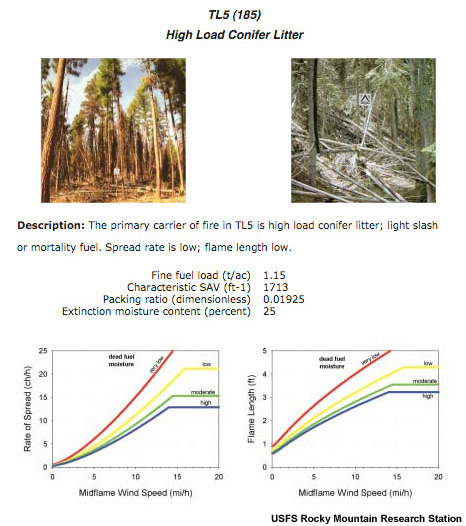 High load conifer litter fuel model description.