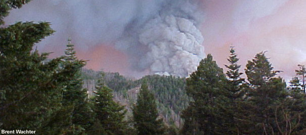 Heavy smoke plume from a fire in dense timber.