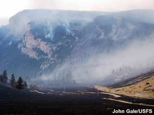 Smoldering forests and charred grasslands.