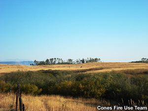 Grasslands in vicinity of wildfire.