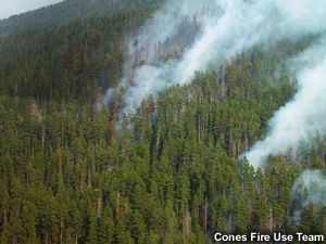 Smoke drifting upslope over a thickly forested mountain slope.