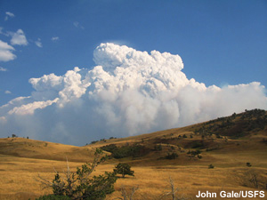 Pyrocumulus tower on the horizon.