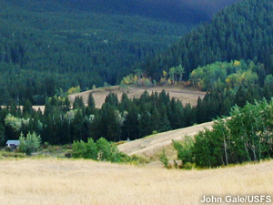 Forested slopes and grassy fields.