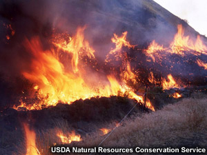 Grass fire on a hillside.