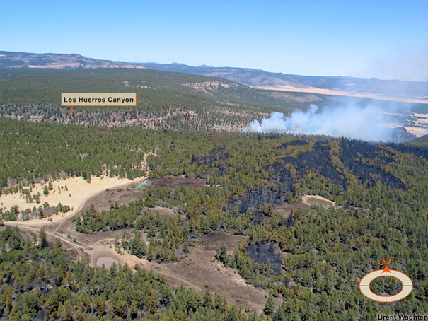 Overhead view of the fire area, looking from the south.