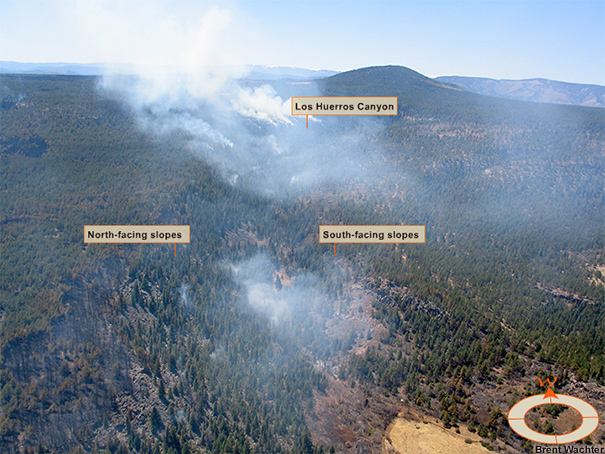 Overhead view of the fire area, looking from the east.