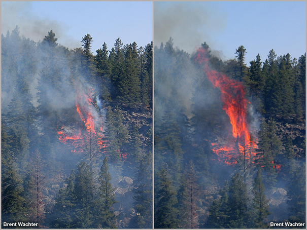 Two-panel imate of an isolated torch-out.