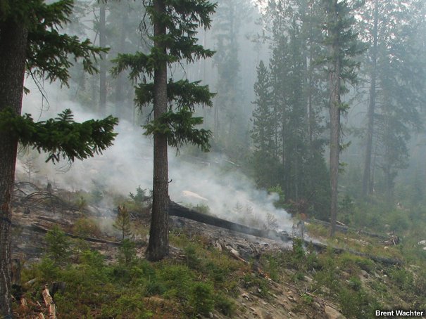 Smoke drifting uphill along the surface.