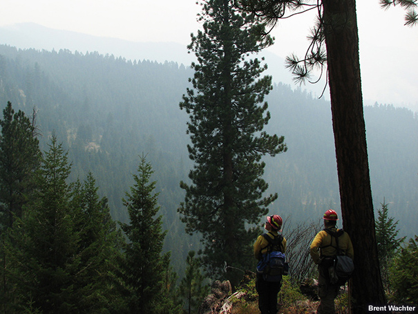 Hazy skies and forested slopes of Rombo Mountain.