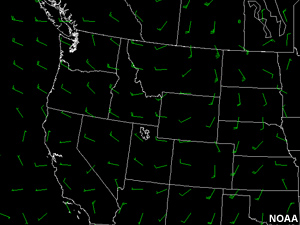 ETA 700 hPa winds, 00utc, 7 Aug 03.