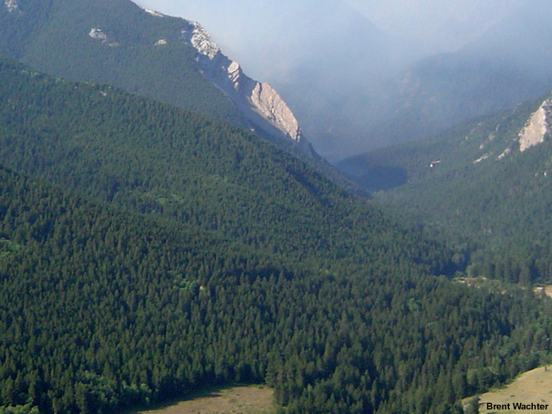 Aerial photo of canyon flanks covered with dense forest.