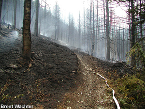 A view of the aftermath.