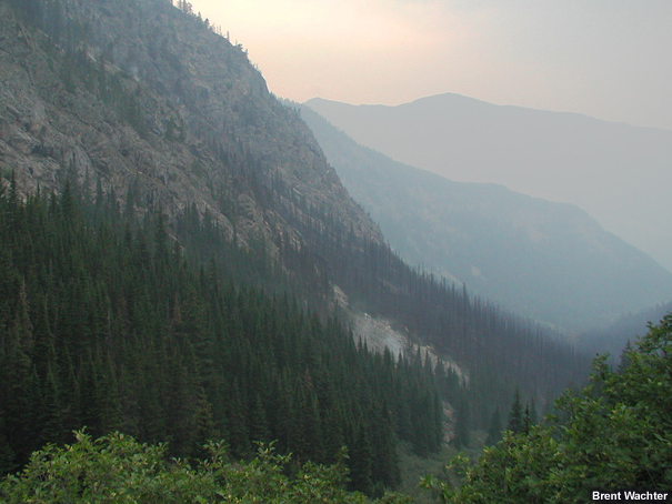 A view down Rough Draw and the Mission Creek drainage.